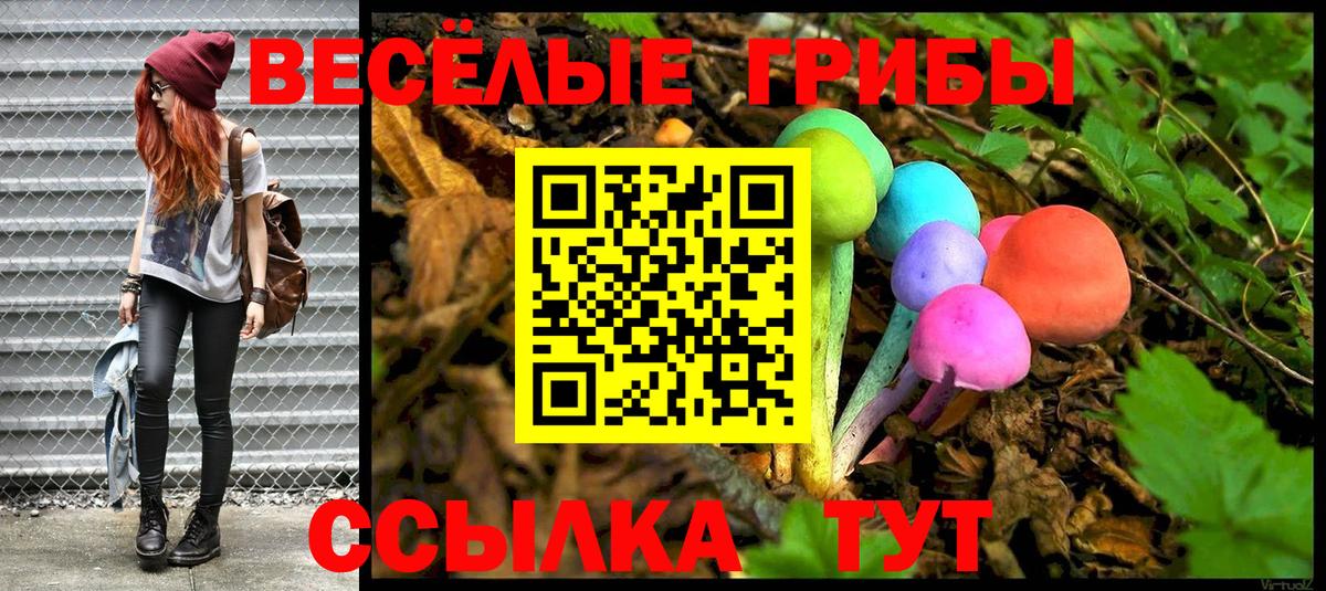 Галлюциногенные грибы Psilocybe  Псилоцибиновые грибы Psilocybine cubensis  Набережные Челны  Вход с VPN 